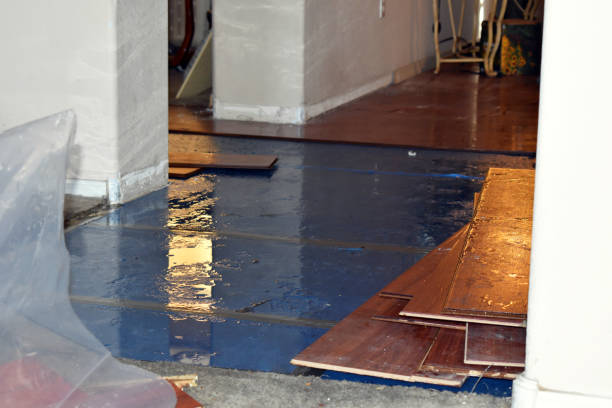 Professional Emergency Water Damage Restoration technician working in Wellesley Hills, MA